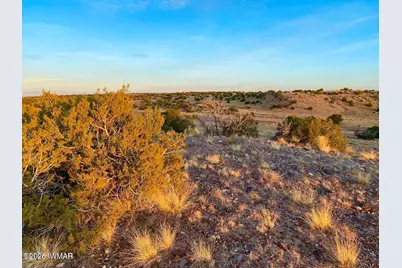Tbd Co Rd N6659 36.25 Acres, Saint Johns, AZ 85936 - Photo 10