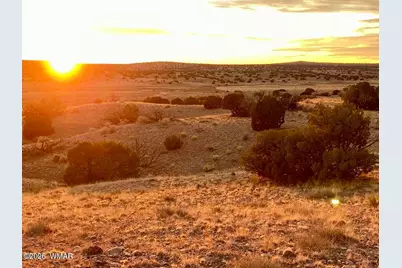 Tbd Co Rd N6659 36.25 Acres, Saint Johns, AZ 85936 - Photo 16