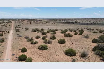 595 Lot Graham Road, Heber, AZ 85928 - Photo 2