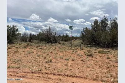 595 Lot Graham Road, Heber, AZ 85928 - Photo 10