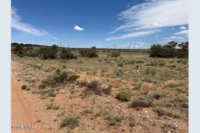 595 Lot Graham Road, Heber, AZ 85928 - Photo 8