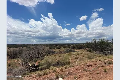 595 Lot Graham Road, Heber, AZ 85928 - Photo 20