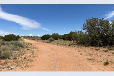 595 Lot Graham Road, Heber, AZ 85928 - Photo 16