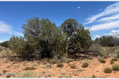 595 Lot Graham Road, Heber, AZ 85928 - Photo 12