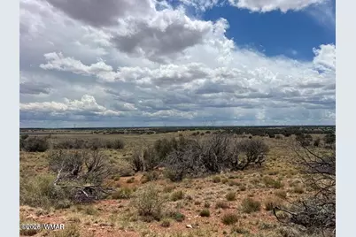 595 Lot Graham Road, Heber, AZ 85928 - Photo 18