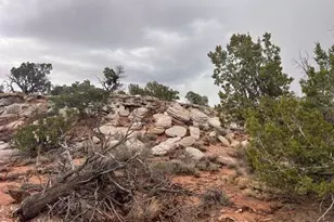 9133 Ridge View Ln, Snowflake, AZ 85937 - Photo 1