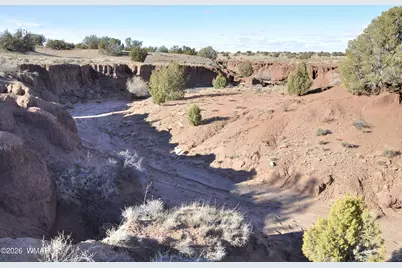 691 Cr 5270, Concho, AZ 85924 - Photo 6