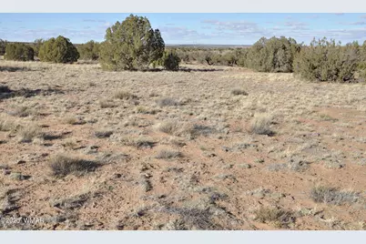 691 Cr 5270, Concho, AZ 85924 - Photo 2