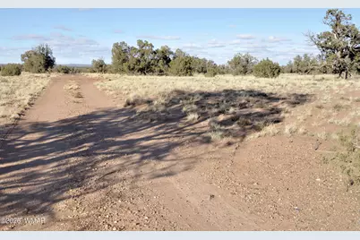 691 Cr 5270, Concho, AZ 85924 - Photo 38