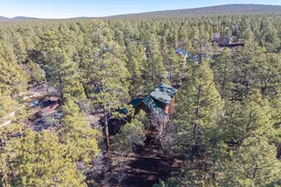 1649 N Blue Grass Ranch Dr, Lakeside, AZ 85929 - Photo 28