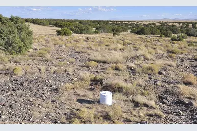 8Z Concho Creek Dr, Concho, AZ 85924 - Photo 2