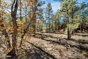 4531 W Foxglove Ln, Show Low, AZ 85901 - Photo 8