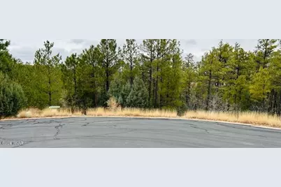 1790 W Snow Creek Trail, Show Low, AZ 85901 - Photo 4