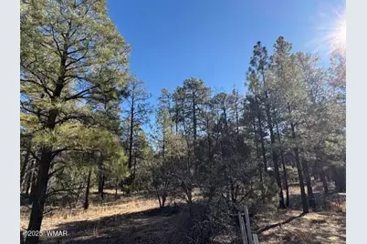 3290 W Black Oak Loop, Show Low, AZ 85901 - Photo 1