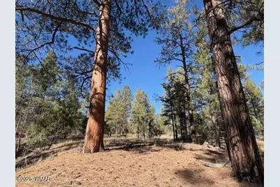 3290 W Black Oak Loop, Show Low, AZ 85901 - Photo 4