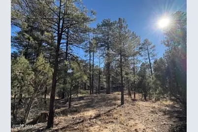 3290 W Black Oak Loop, Show Low, AZ 85901 - Photo 2