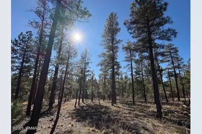 3461 W Black Oak Loop, Show Low, AZ 85901 - Photo 1