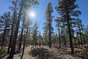 3461 W Black Oak Loop, Show Low, AZ 85901 - Photo 1