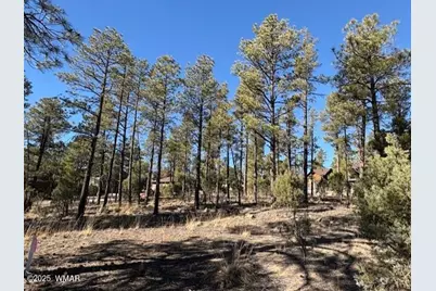 3071 W Black Oak Loop, Show Low, AZ 85901 - Photo 4