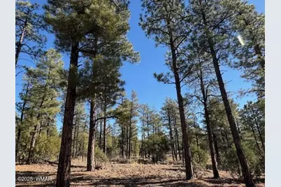3071 W Black Oak Loop, Show Low, AZ 85901 - Photo 1