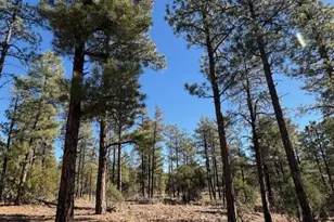 3071 W Black Oak Loop, Show Low, AZ 85901 - Photo 1