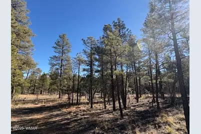 3211 W Black Oak Loop, Show Low, AZ 85901 - Photo 4