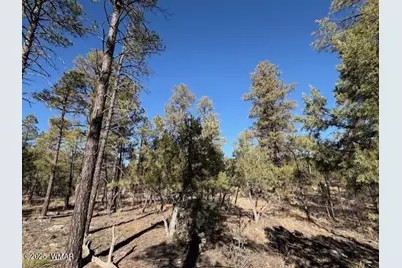 3211 W Black Oak Loop, Show Low, AZ 85901 - Photo 2