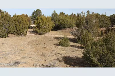 45 County Road 3035, Concho, AZ 85924 - Photo 8