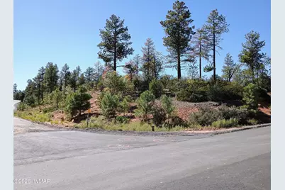 7392 Carina Lane, Lakeside, AZ 85929 - Photo 1