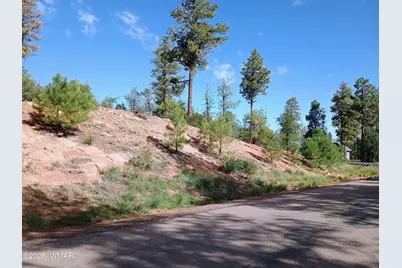 7392 Carina Lane, Lakeside, AZ 85929 - Photo 2