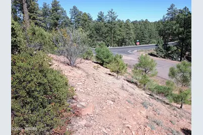 7392 Carina Lane, Lakeside, AZ 85929 - Photo 8