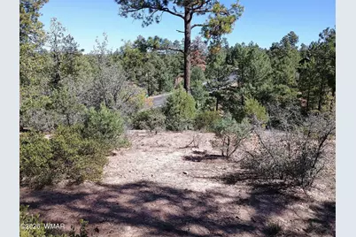 7392 Carina Lane, Lakeside, AZ 85929 - Photo 6