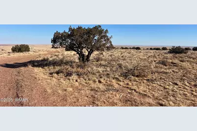 8539 Terry Trail, Snowflake, AZ 85937 - Photo 1