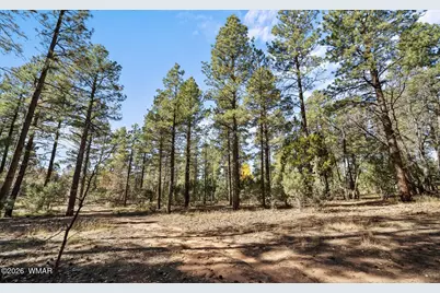 1521 S Little Leaf Lane, Show Low, AZ 85901 - Photo 56