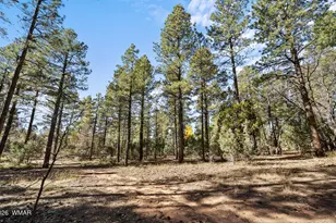 1521 S Little Leaf Ln, Show Low, AZ 85901 - Photo 56