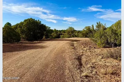 1838 Rocky Bottom Place, Show Low, AZ 85901 - Photo 10