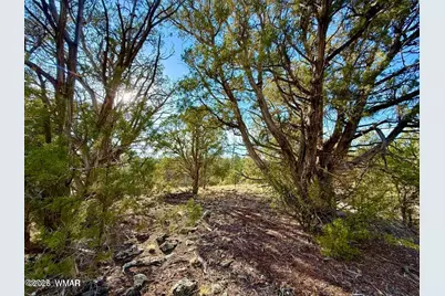 1838 Rocky Bottom Place, Show Low, AZ 85901 - Photo 2