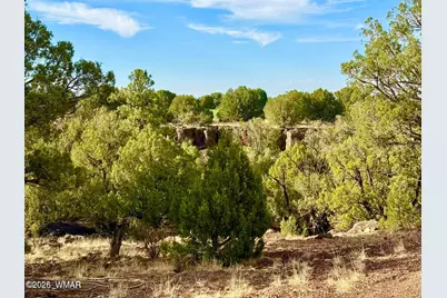 1838 Rocky Bottom Place, Show Low, AZ 85901 - Photo 14