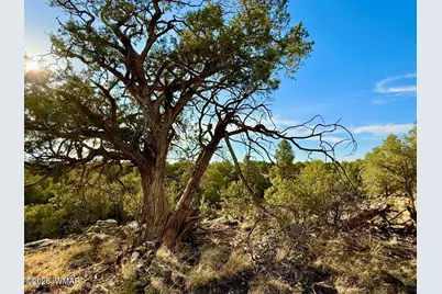 1838 Rocky Bottom Place, Show Low, AZ 85901 - Photo 4