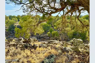 1838 Rocky Bottom Place, Show Low, AZ 85901 - Photo 18