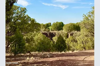 1838 Rocky Bottom Place, Show Low, AZ 85901 - Photo 2