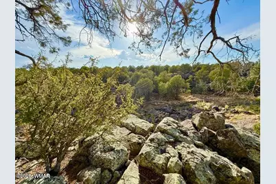 1838 Rocky Bottom Place, Show Low, AZ 85901 - Photo 6