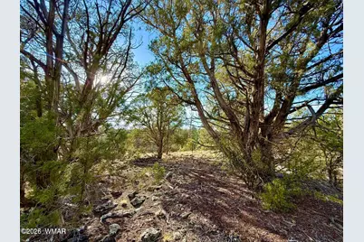 1838 Rocky Bottom Place, Show Low, AZ 85901 - Photo 8