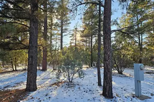 3321 W Mariposa Ln, Show Low, AZ 85901 - Photo 4