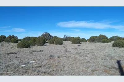 Tbd Windsor Valley Ranch Lot 108, Concho, AZ 85924 - Photo 18