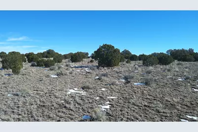 Tbd Windsor Valley Ranch Lot 108, Concho, AZ 85924 - Photo 26