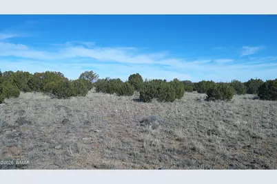 Tbd Windsor Valley Ranch Lot 108, Concho, AZ 85924 - Photo 20