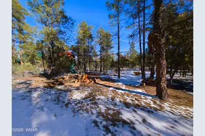 2074 Lone Mountain Road, Overgaard, AZ 85933 - Photo 1