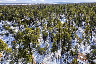 2074 Lone Mountain Road, Overgaard, AZ 85933 - Photo 12