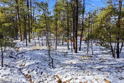 2074 Lone Mountain Road, Overgaard, AZ 85933 - Photo 8